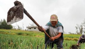 Entrega del Bono Raíces se aplaza: beneficiarios deberán esperar hasta octubre