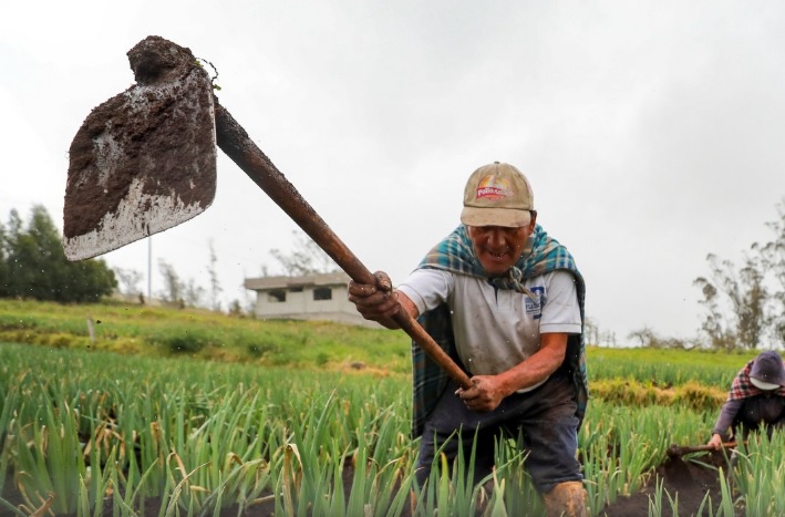 Entrega del Bono Raíces se aplaza: beneficiarios deberán esperar hasta octubre