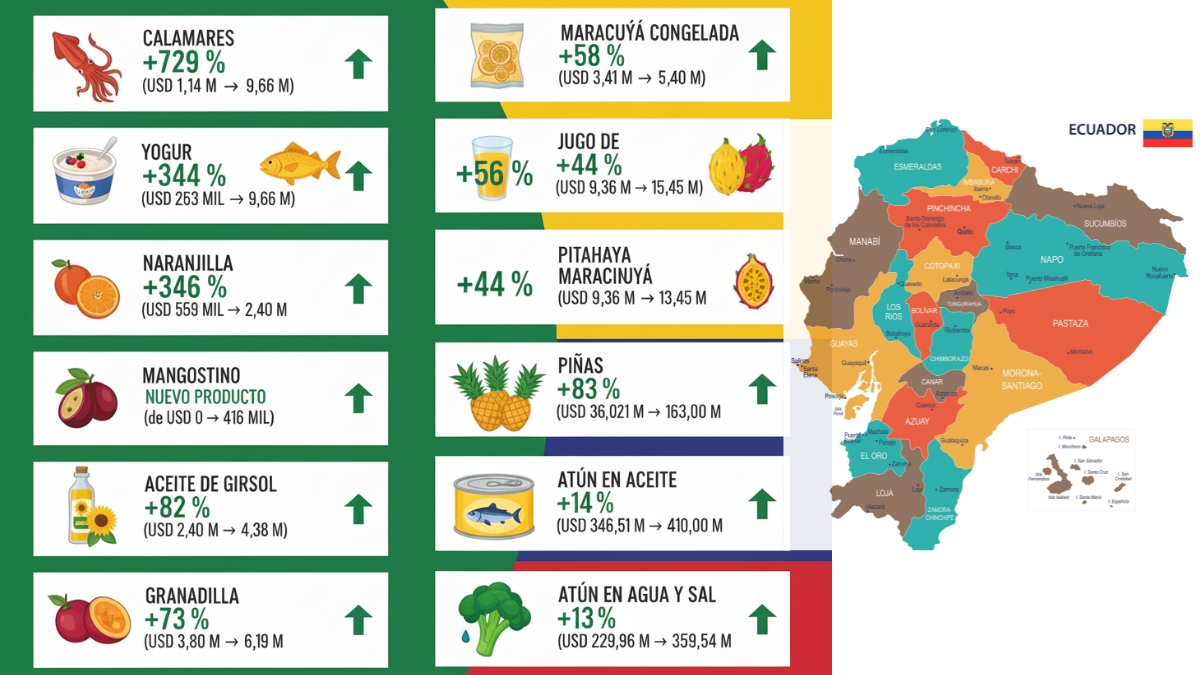 Estos son los productos no tradicionales de Ecuador que llegan a nuevos mercados internacionales. (Gemini).