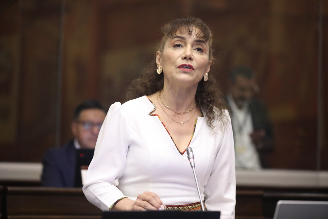La asambleísta Patricia Núñez de la bancada de la Revolución Ciudadana. FOTO: @AsambleaEcuador.