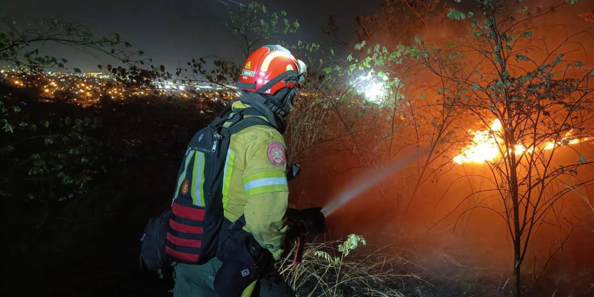 Gigantesco incendio forestal en Cerro Colorado alarma al norte de Guayaquil