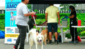 La ciudad de Guayaquil amplió sus servicios veterinarios y campañas de esterilización, llegando a sectores urbanos y rurales.