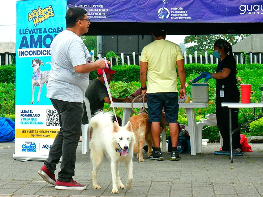 La ciudad de Guayaquil amplió sus servicios veterinarios y campañas de esterilización, llegando a sectores urbanos y rurales.