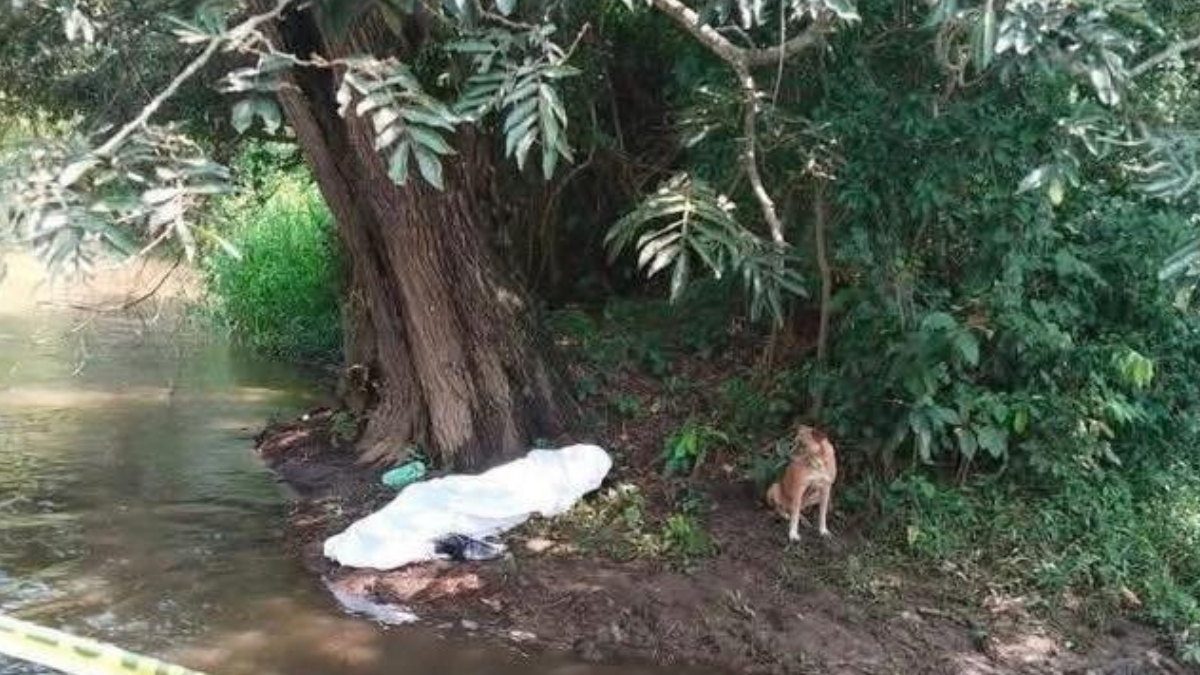 Un padre y su hija murieron junto a sus caballos a consecuencia del impacto de un rayo, sucedió en México.