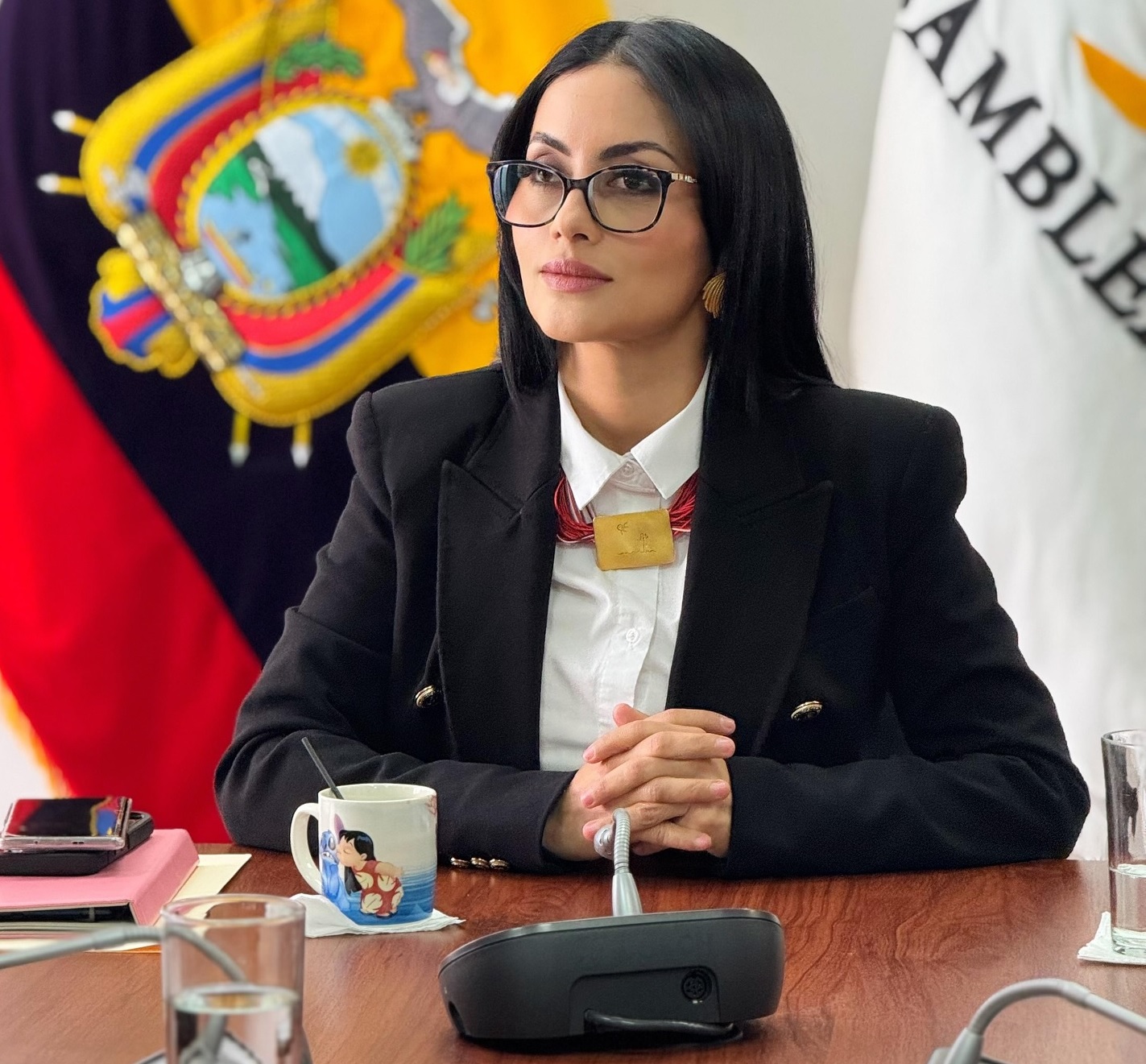 Viviana Veloz, coordinadora de la bancada Revolución Ciudadana (RC). FOTO: vivianavelozec (Instagram).