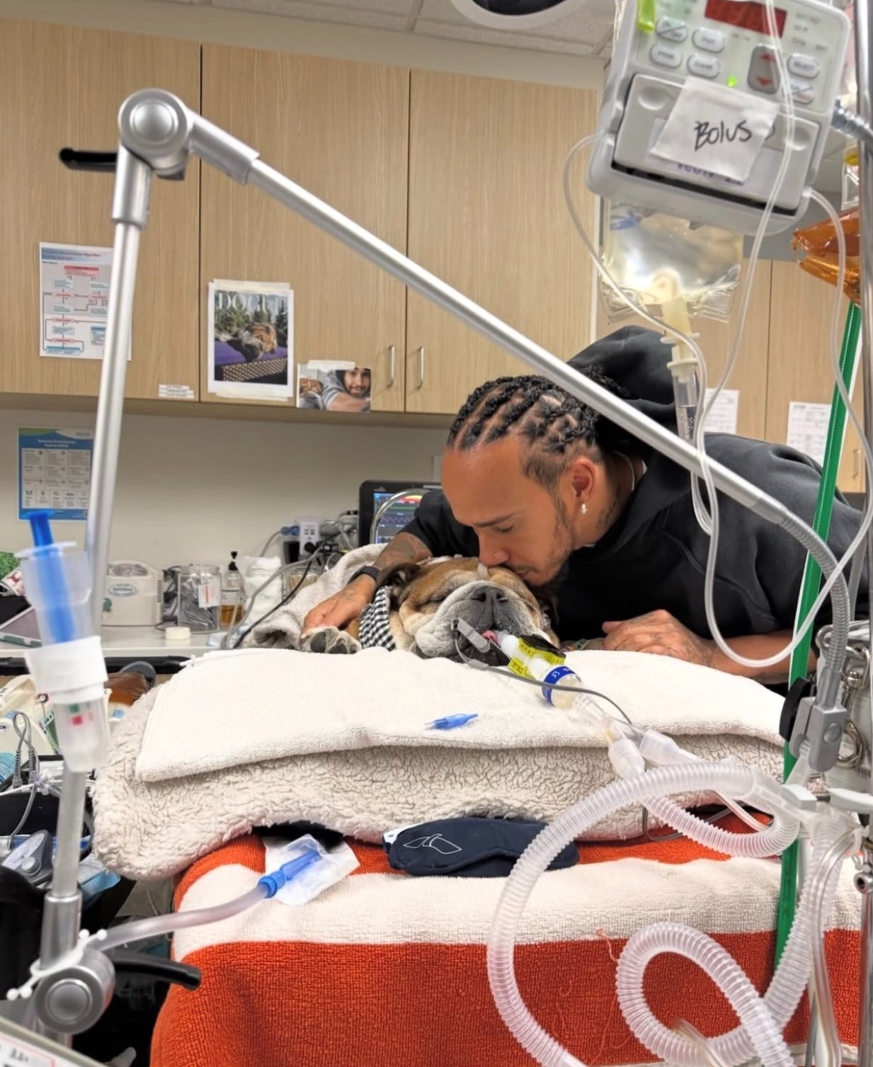 Lewis Hamilton se ausenta de pruebas de Ferrari para acompañar a su bulldog Roscoe en coma