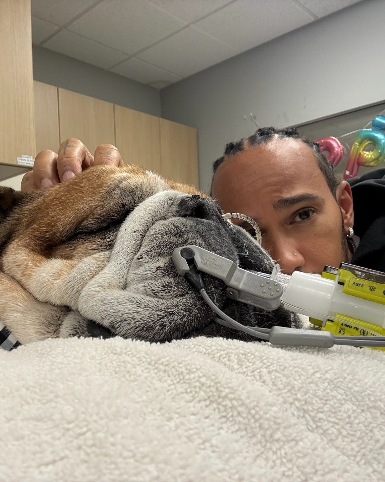 Lewis Hamilton se ausenta de pruebas de Ferrari para acompañar a su bulldog Roscoe en coma