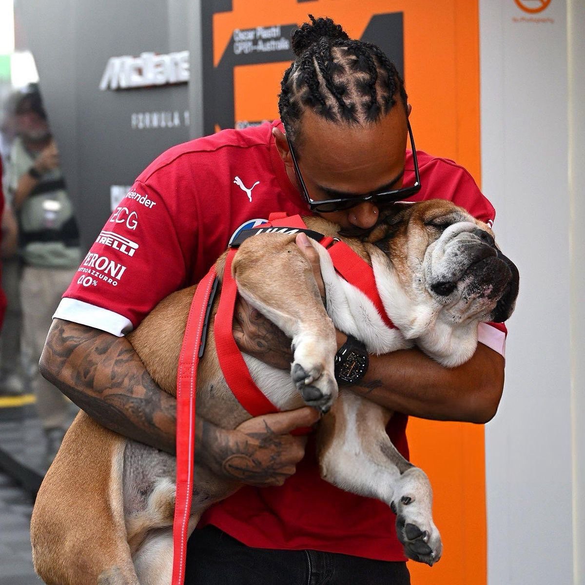 Lewis Hamilton se ausenta de pruebas de Ferrari para acompañar a su bulldog Roscoe en coma