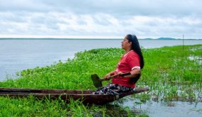 El volumen de captura artesanal tiene un impacto directo en la nutrición global.