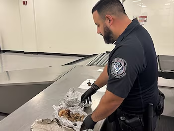Cráneo humano en papel de aluminio: lo que hallaron en una maleta en el aeropuerto de Tampa