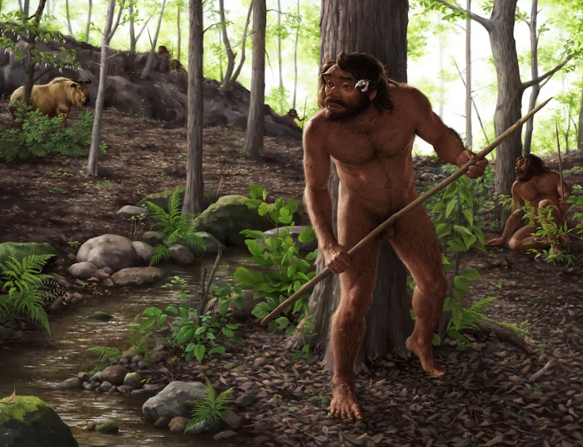 Cráneo de un millón de años redefine el origen de Homo Sapiens y Denisovanos.