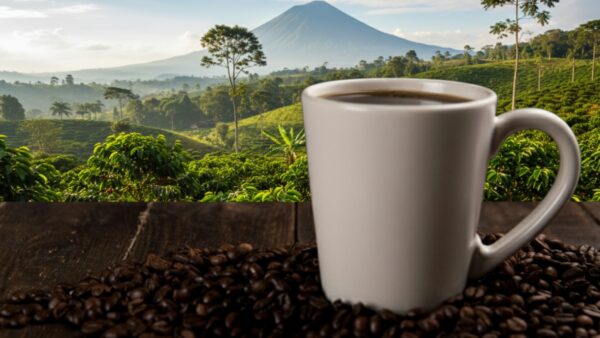 Café ecuatoriano: A pesar de la caída en exportaciones, el mercado de especialidad abre una ventana de rescate. (Imagen de Pexels mejorada con la inteligencia artificial de Gemini, de Google)