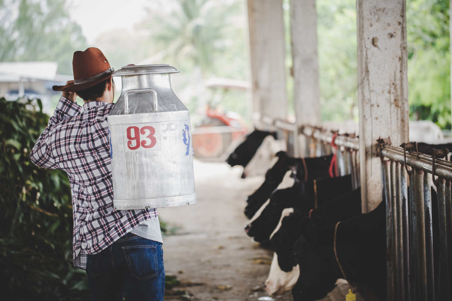 Paro nacional en Ecuador provoca pérdidas millonarias a productores de leche y sector textil.