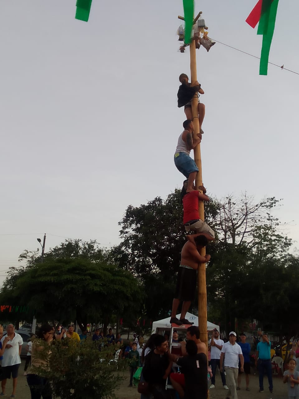 Vecinos de todas las edades compitieron con entusiasmo en la tradicional caña encebada durante el festival comunitario en Puerto Real.