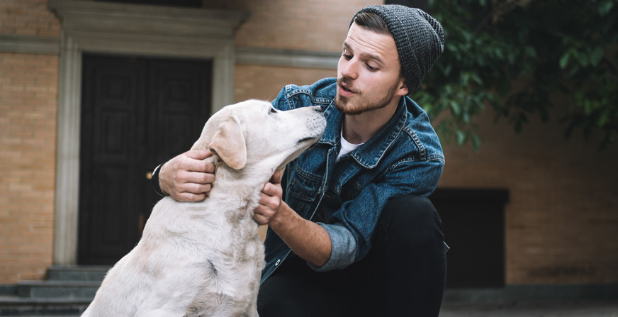 “Es un error hablarle a tu perro como si fuera un bebé”, advierte adiestrador canino
