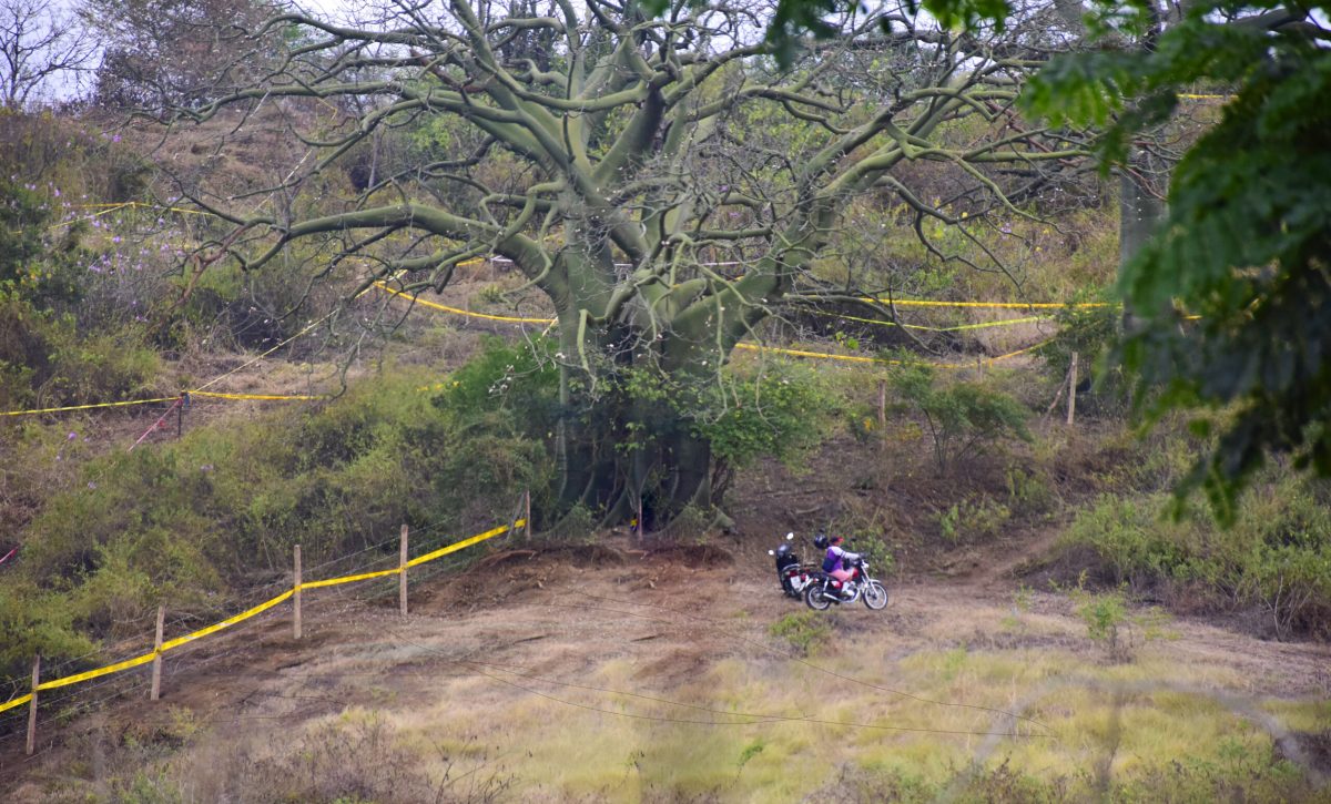 deforestación portoviejo