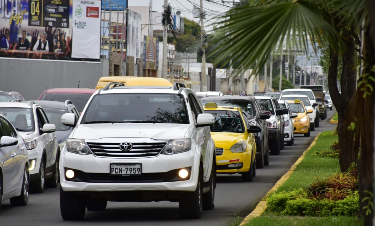 Las primas de los carros aumentaron en el 2024, lo que ha ocasionado que la demanda se reduzca este año.