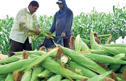 bono decreto agroproductores Manabí
