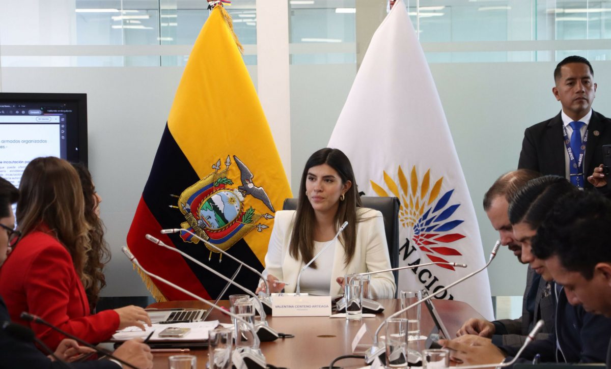 La presidenta de la Comisión, Valentina Centeno, destacó que el proyecto de ley de ecomonías criminales fomenta la unión entre el Estado y la empresa privada para enfrentar a las bandas criminales. E