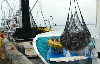 pesca manabi produccion grandes contribuyentes