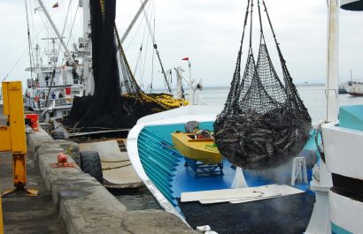 pesca manabi produccion grandes contribuyentes