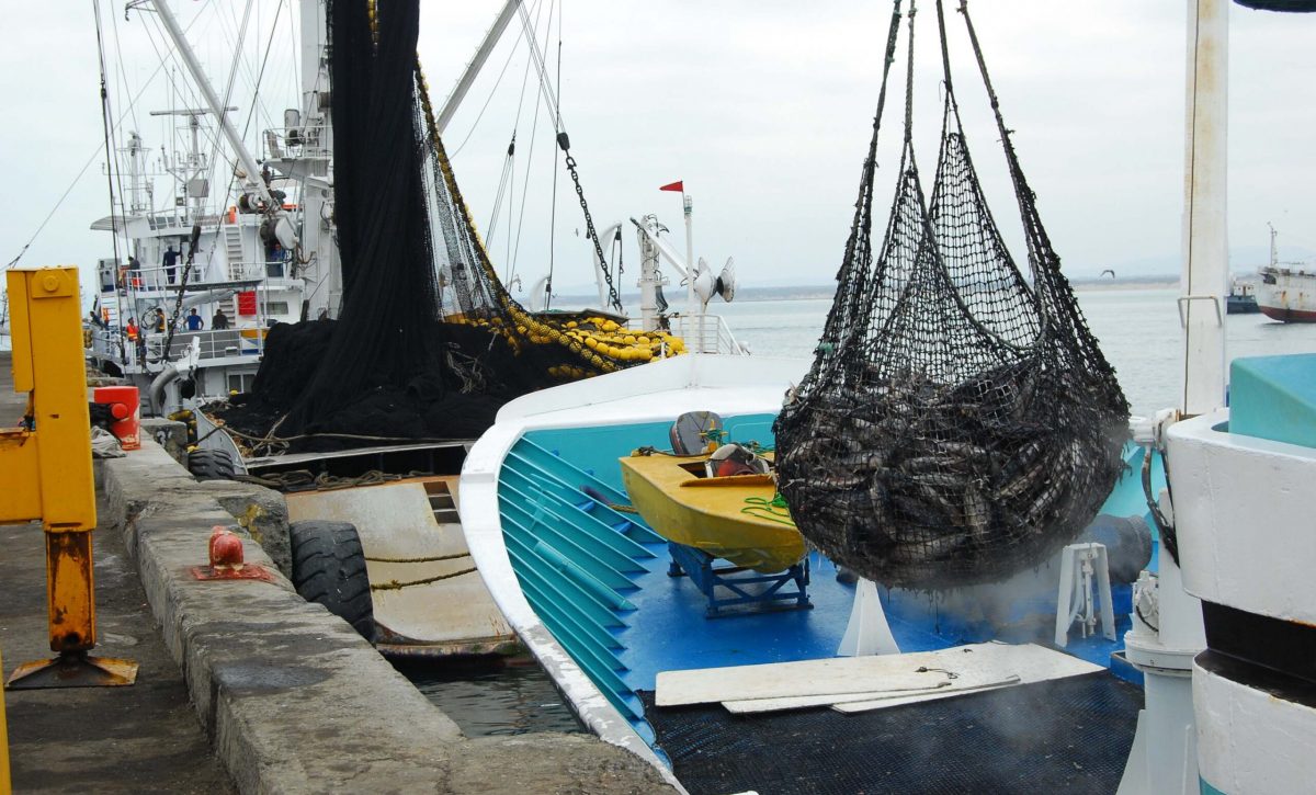 pesca manabi produccion grandes contribuyentes