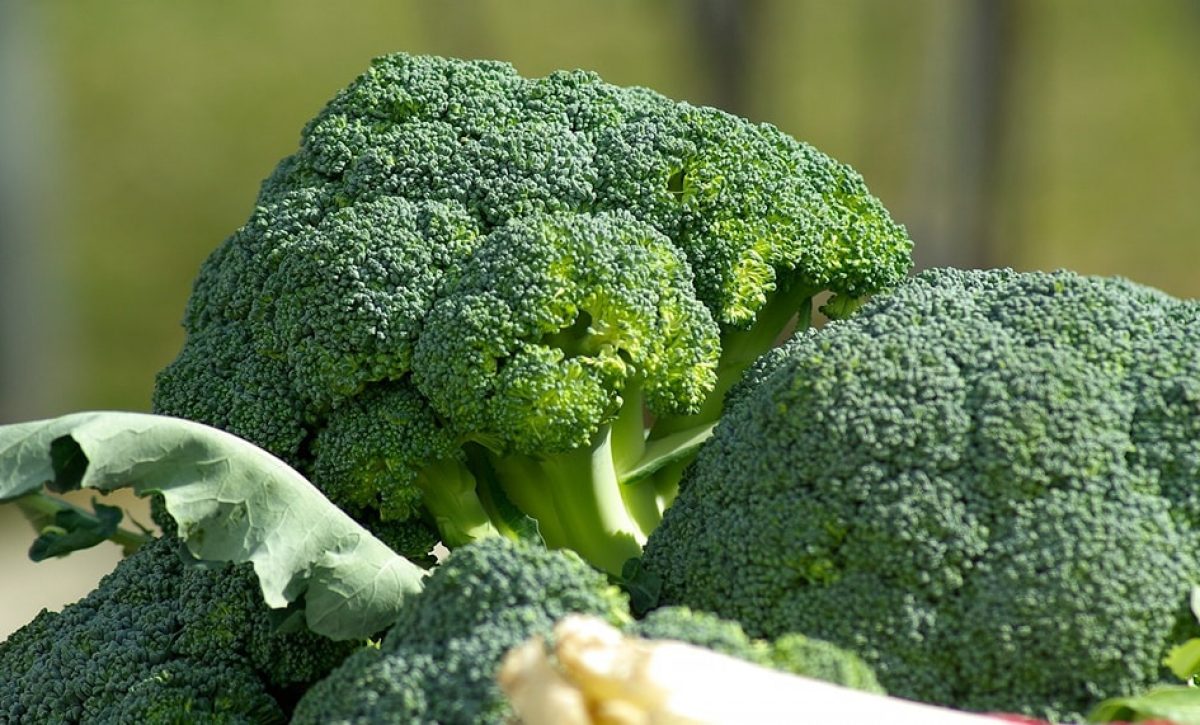 brocoli, aranceles, producción, flores