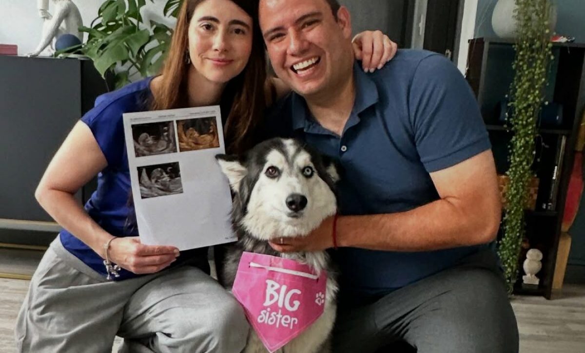 “¡Viene un mini heladeritx!”: Sergio 'El heladero' y su esposa anuncian la espera de su primer bebé