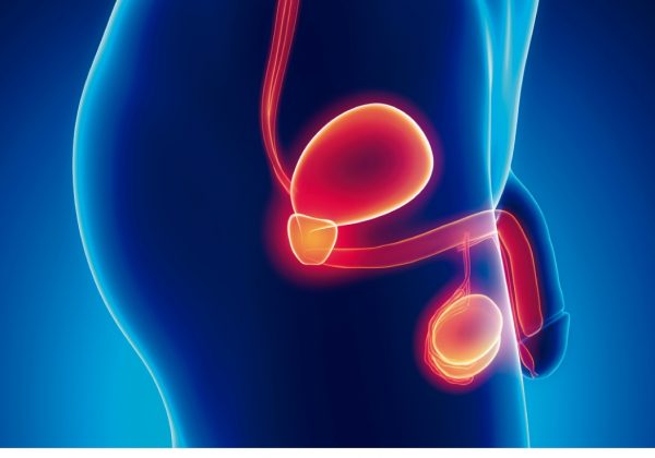 75% de los pacientes de cáncer de próstata logra curarse gracias a un diagnóstico precoz