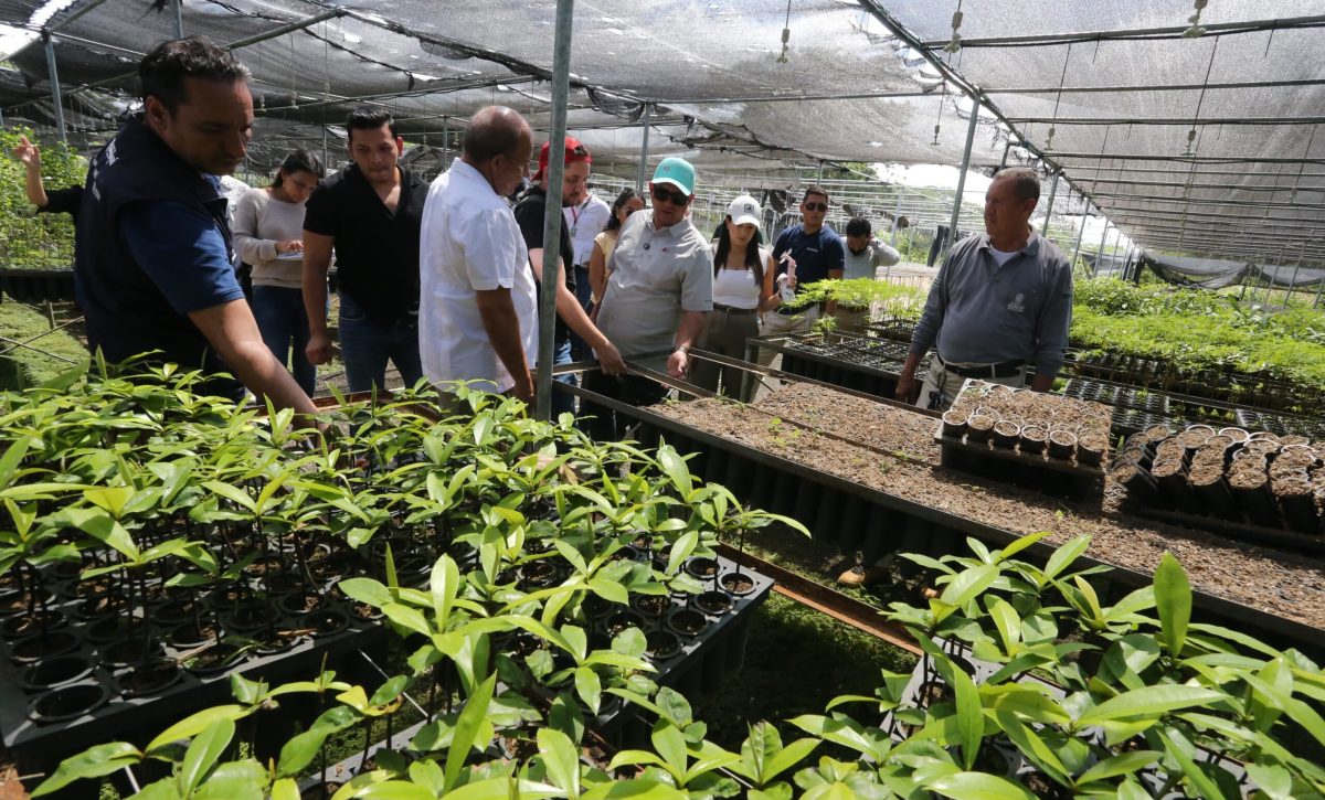 Prefectura de Manabí recibe el 60% de la alícuota de marzo y espera propuesta de pago del Gobierno