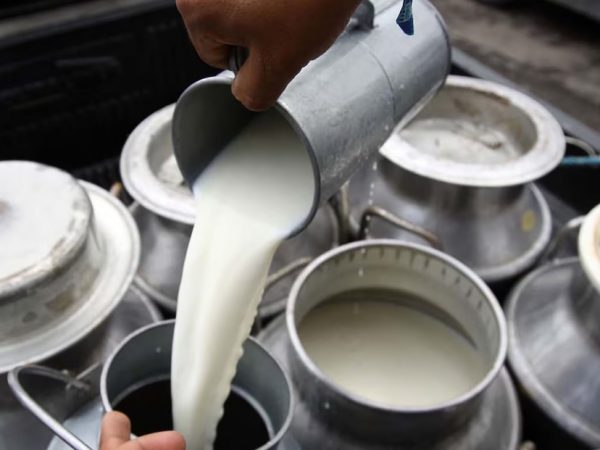 A partir del 1 de junio de 2025, el precio referencial del litro de leche UHT en funda aumentará a 0,96 cetavos de dólar en Ecuador.