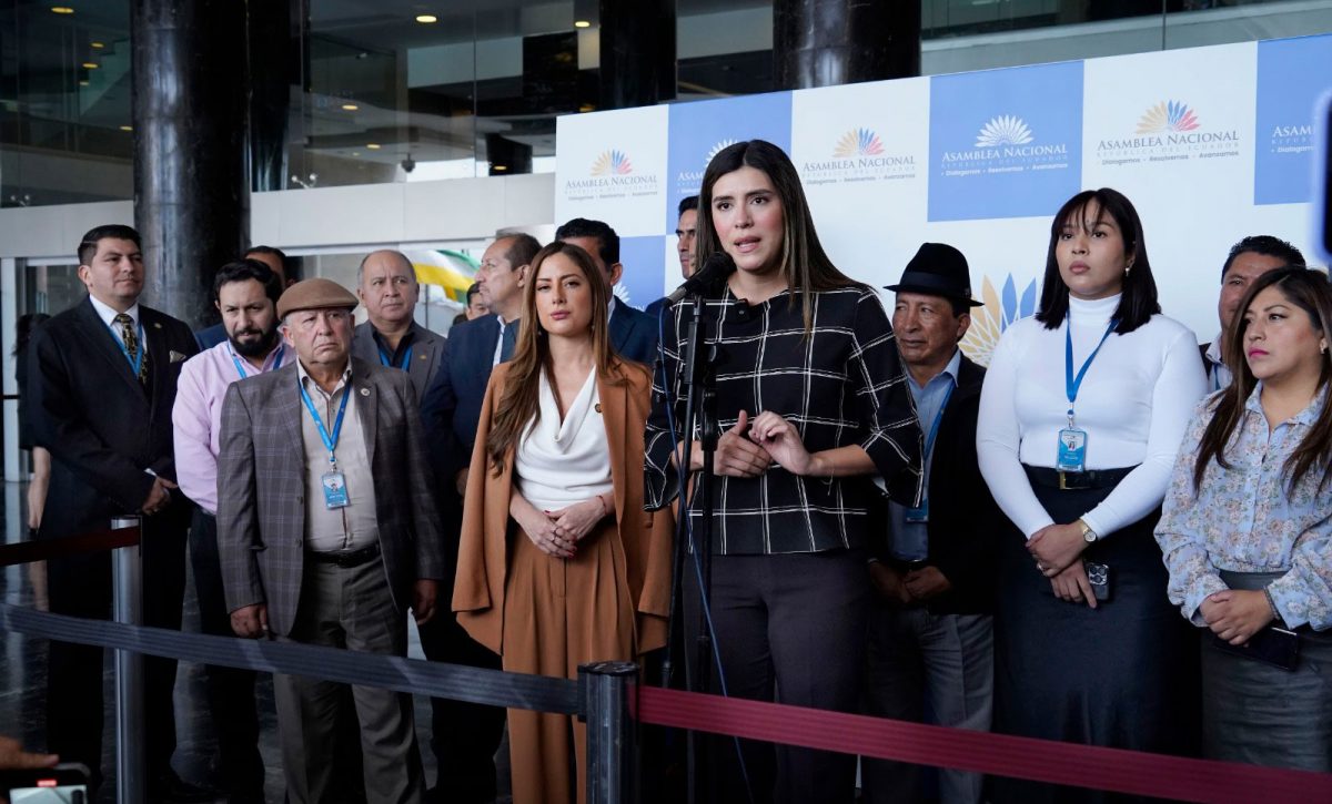 ADN tendría mayoría en la nueva Asamblea Nacional, que se instalará el 14 de mayo del 2025.