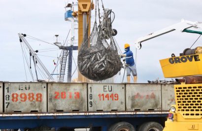 ¿Por qué el atún ecuatoriano no tiene espacio para más empresas?