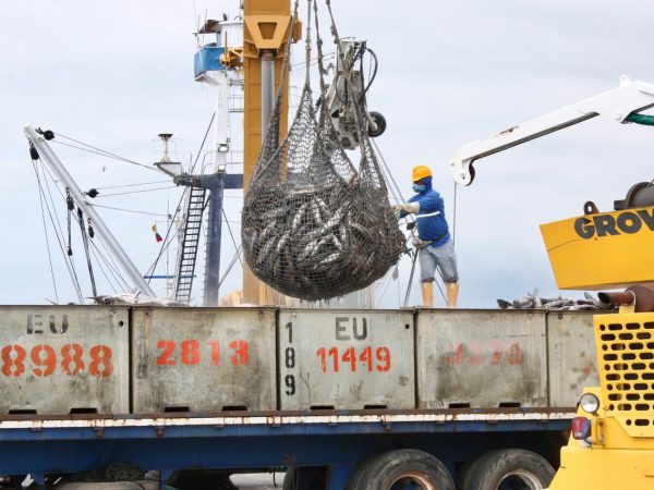 ¿Por qué el atún ecuatoriano no tiene espacio para más empresas?