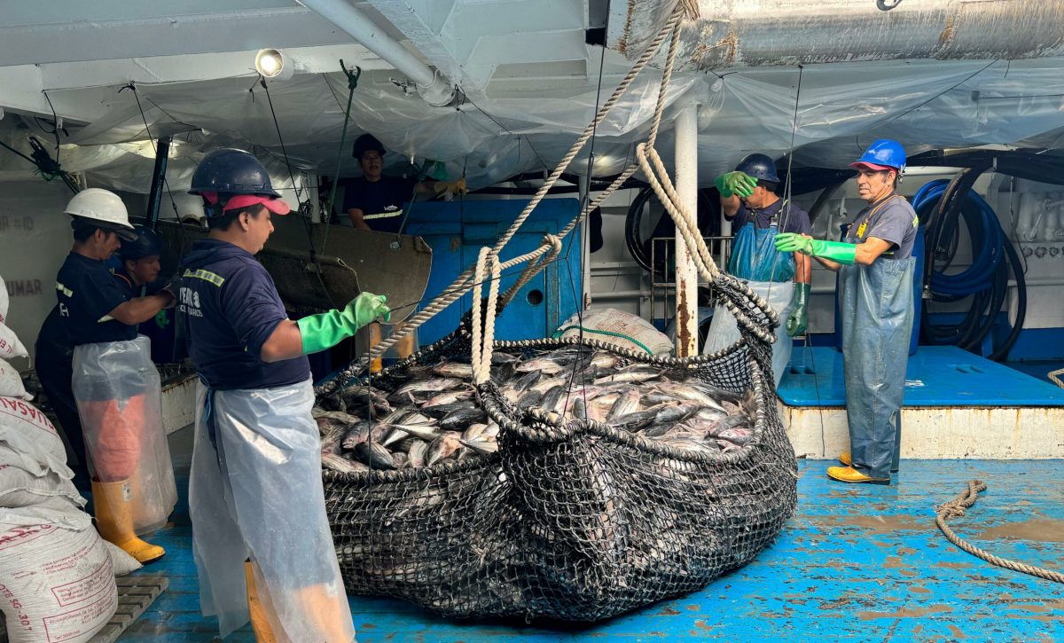 Ecuador enfrenta nuevas condiciones de Europa para la exportación pesquera