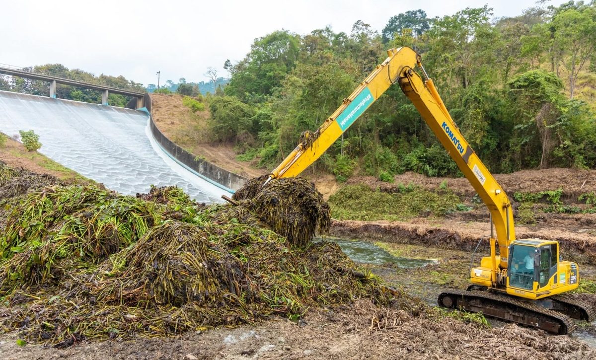Actualment, están retirando los jacintos de agua del cuenco amortiguador mediante dos retroexcavadoras de brazo largo.