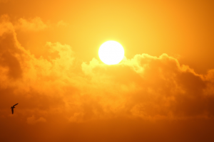 El radiación solar extrema puede provocar graves daños a la piel y la salud en general.