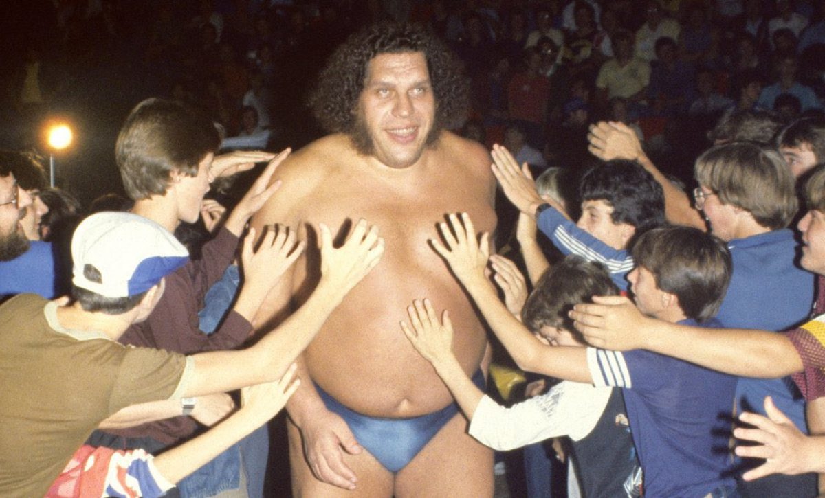 En los años 70 y 80, André trabajó con varias promociones de lucha, pero su impacto en la WWE fue incomparable.