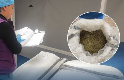 Arcsa detecta cerca de una tonelada de orégano con altos niveles de arsénico gracias a acción preventiva