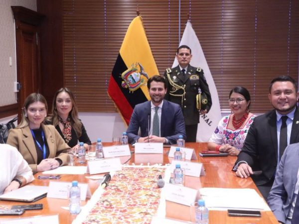 Asamblea Nacional El CAL calificó a trámite proyecto urgente para desarticular la economía criminal en Ecuador. (Asamblea Nacional).