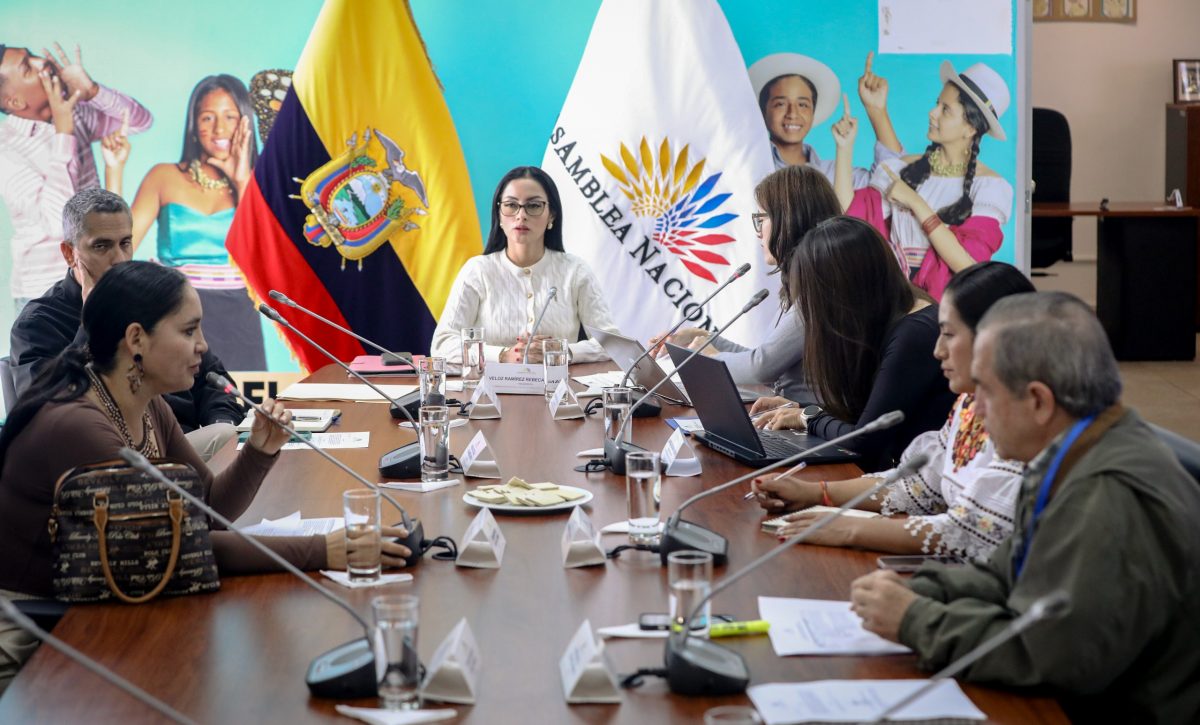 Asamblea Nacional aborda modernización del marco legal para niños y adolescentes
