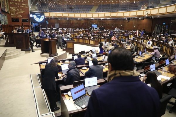 La Asamblea Nacional condecorará  a Moisés Caicedo y Willian Pacho. Foto: Asamblea de Ecuador