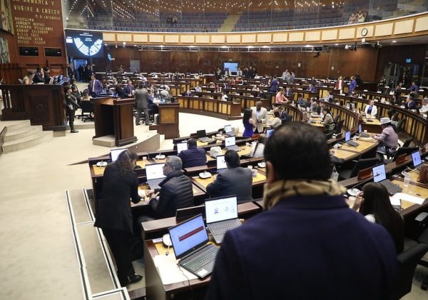 La Asamblea Nacional condecorará  a Moisés Caicedo y Willian Pacho. Foto: Asamblea de Ecuador