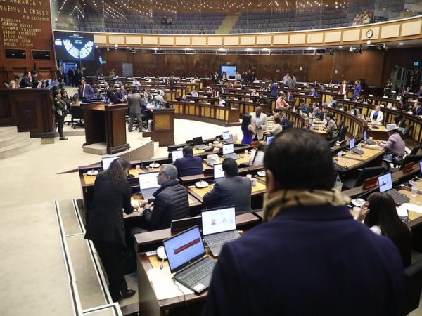 La Asamblea Nacional condecorará  a Moisés Caicedo y Willian Pacho. Foto: Asamblea de Ecuador