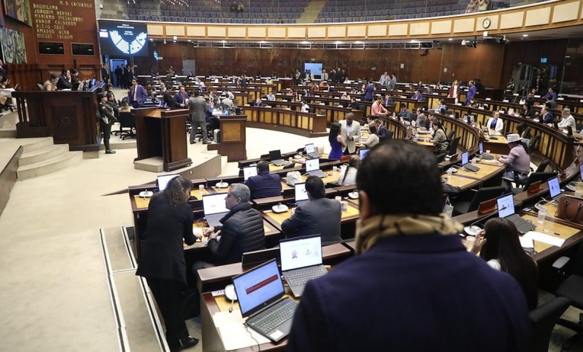 La Asamblea Nacional condecorará  a Moisés Caicedo y Willian Pacho. Foto: Asamblea de Ecuador
