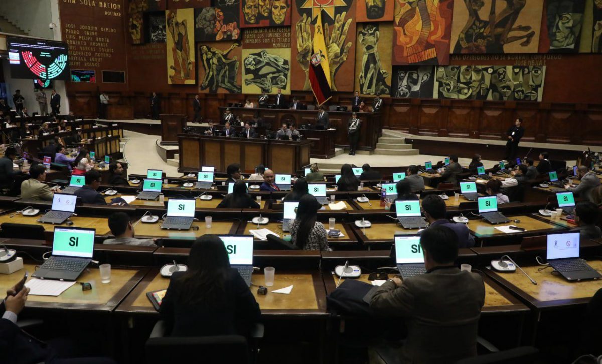 Asamblea Nacional designa a Laura Flores para completar terna del Consejo de la Judicatura
