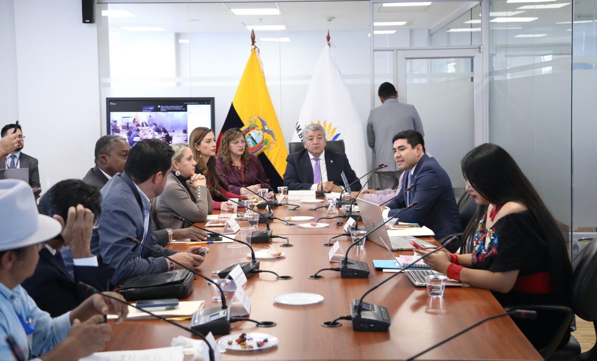 Asamblea Nacional evalúa observaciones presidenciales a Ley de empleo del hogar