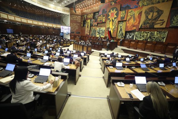 Asamblea Nacional nuevas disposiciones electorales eliminan partidos políticos con menos del 5% de votos en comicios seccionales