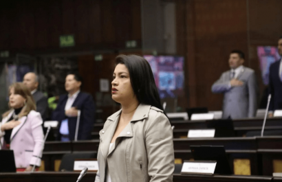 Asambleísta Victoria Desintonio