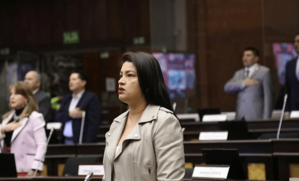 Asambleísta Victoria Desintonio